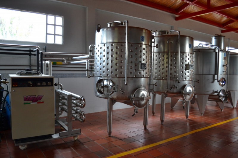 cave-MOISSAC BELLEVUE-min_wine_production_cantine_winery_drink_alcohol_vine_beverage-902036